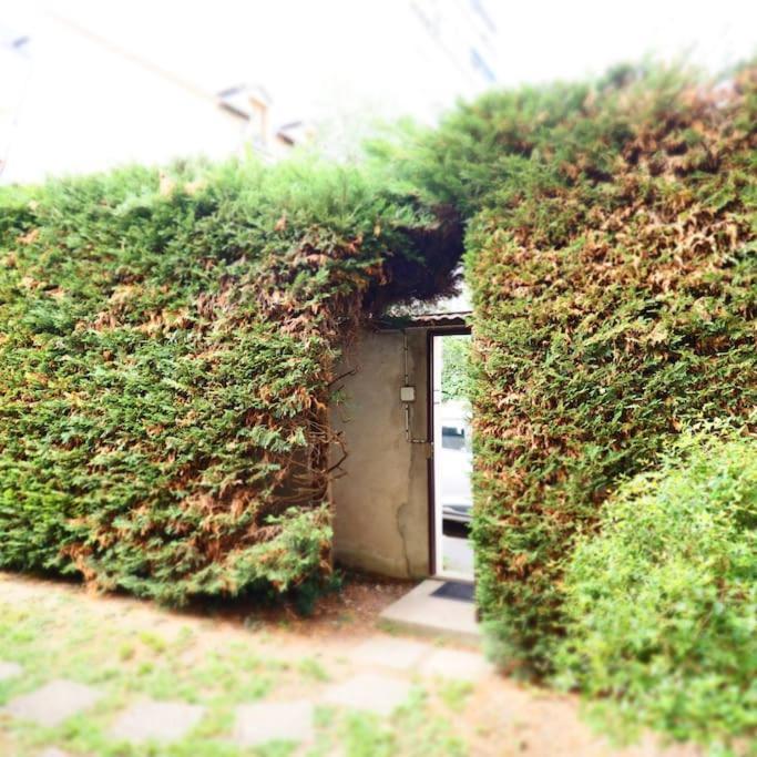 Maison Faure - Centre Ville - Jardin - Garage Vichy Buitenkant foto